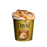 Triple Peanut Butter David frozen dessert pint